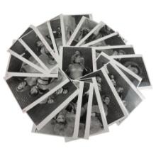 Vintage Black and White Photos Nudes lot of 20 Photos  8"x 10"