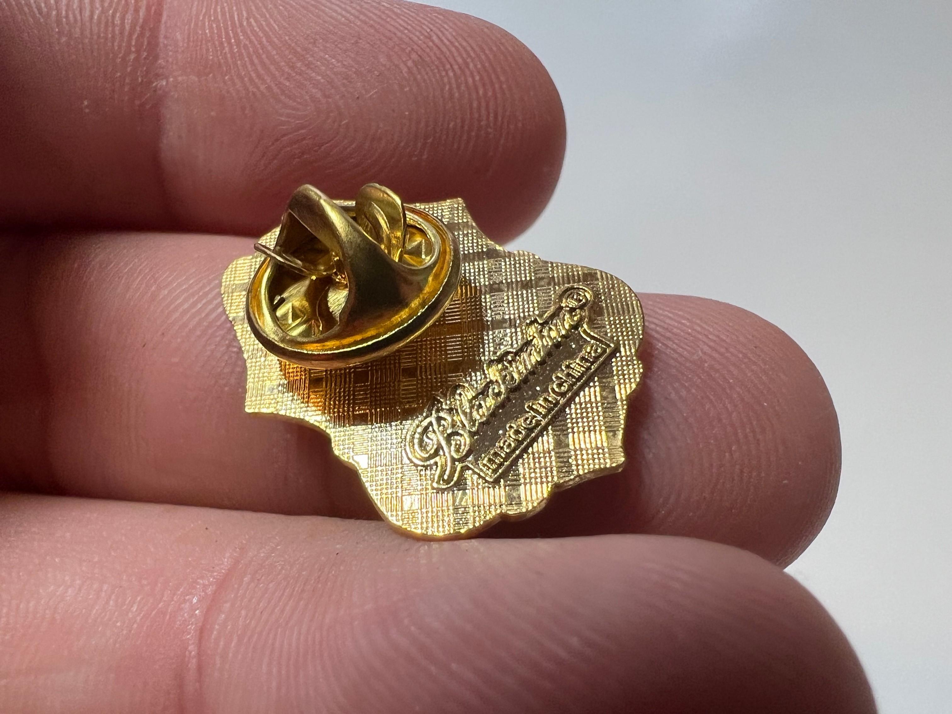 FEDERAL RAILROAD ADMINISTRATION CHIEF INSPECTOR PIN