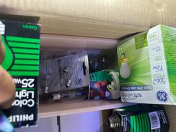 LOT - ASSORTED LIGHT BULBS