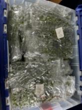 LOT - LARGE TOTE OF GREEN NECKLACES (IN PACKS OF 12) - TOTE INCLUDED