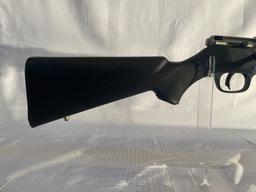 Savage 17 HMR