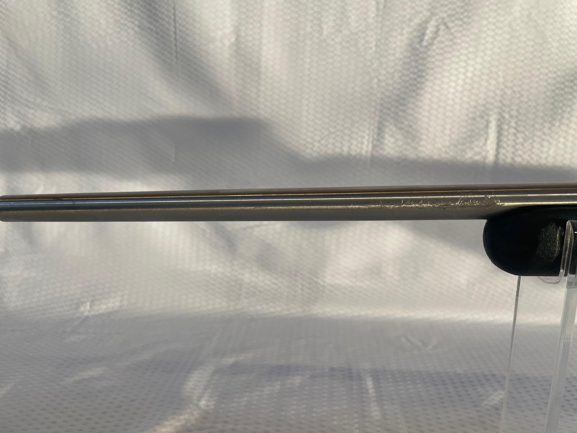 Savage 17 HMR