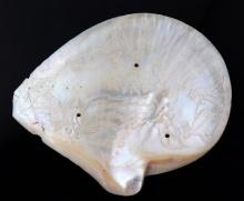 Intricately Carved Clam Shell