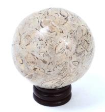 Extinct Dinosaur Bone Fossil Sphere with Stand