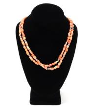 Gorgeous Raw Natural Coral & Shell Bead Necklace