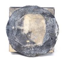 "Pinture #10" Abstract Organic Mixed Media by Roger Weik 2003