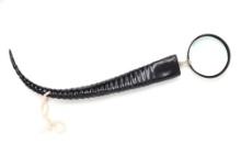 Massive Two Foot Long Magnifying Glass