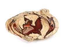 Gorgeous Cut Thunderegg, Agate & Chalcedony