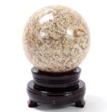 Large Ancient Fossilized Fish Roe Agate Sphere on Stand