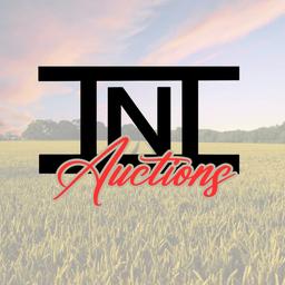 TNT Auctions