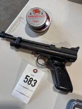Pellet Gun with pellets