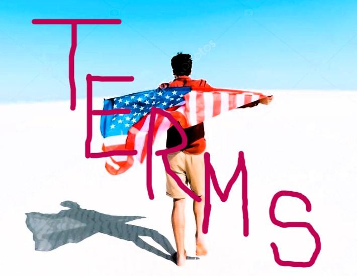 ***Terms***