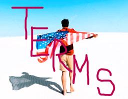 ***Terms***