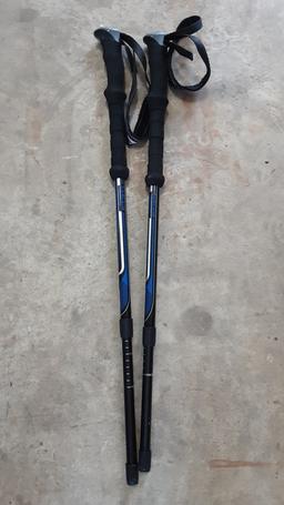 Cascade Hiking Sticks