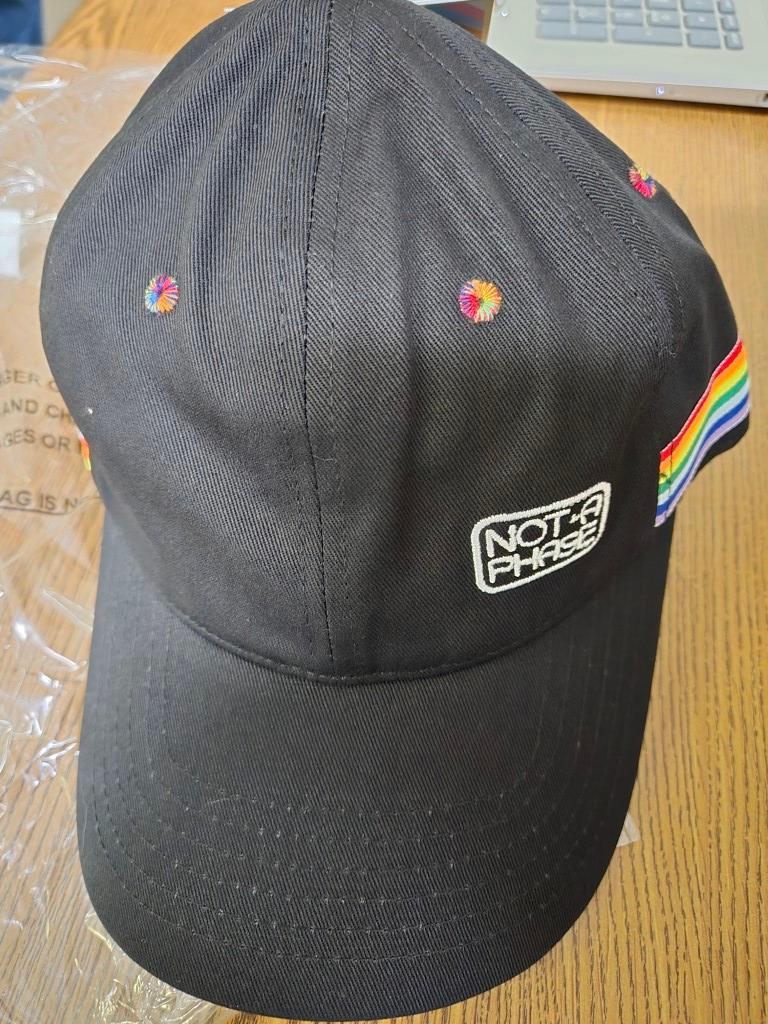 12 Not a Phase Pride Hats
