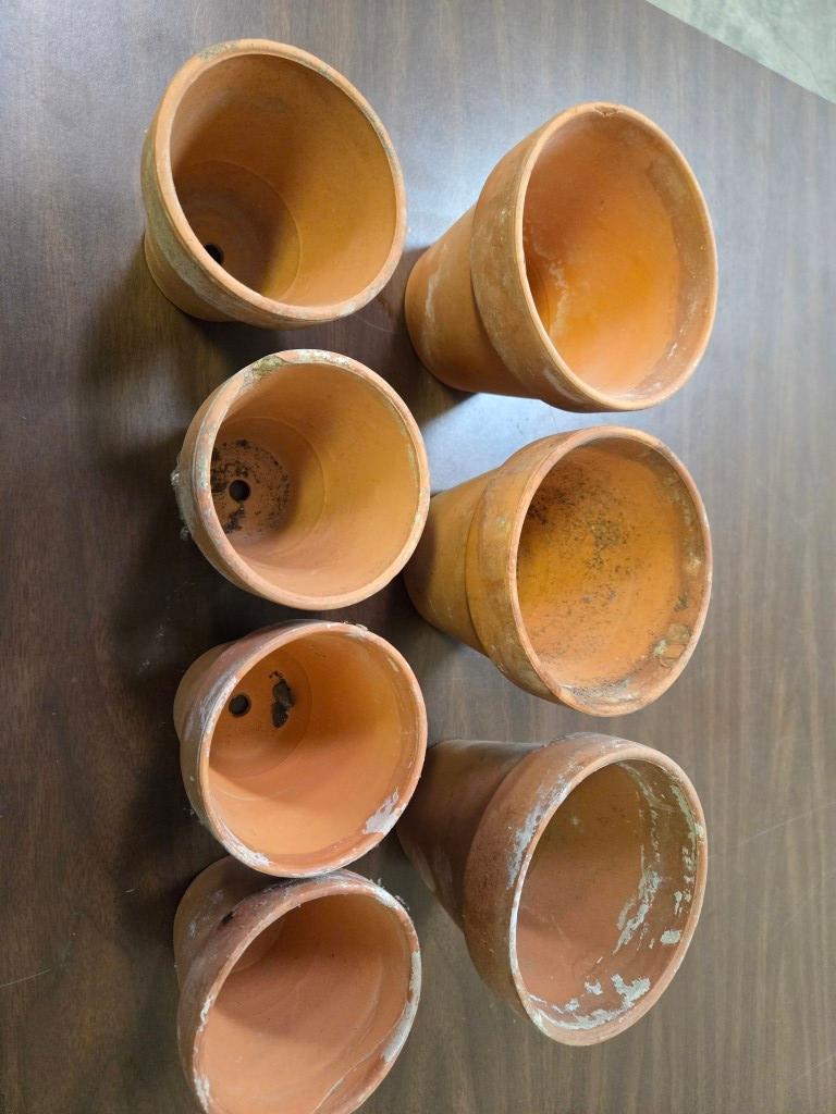 9 Plant Potters