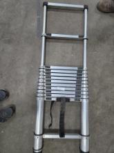 Aluminum extendable ladder