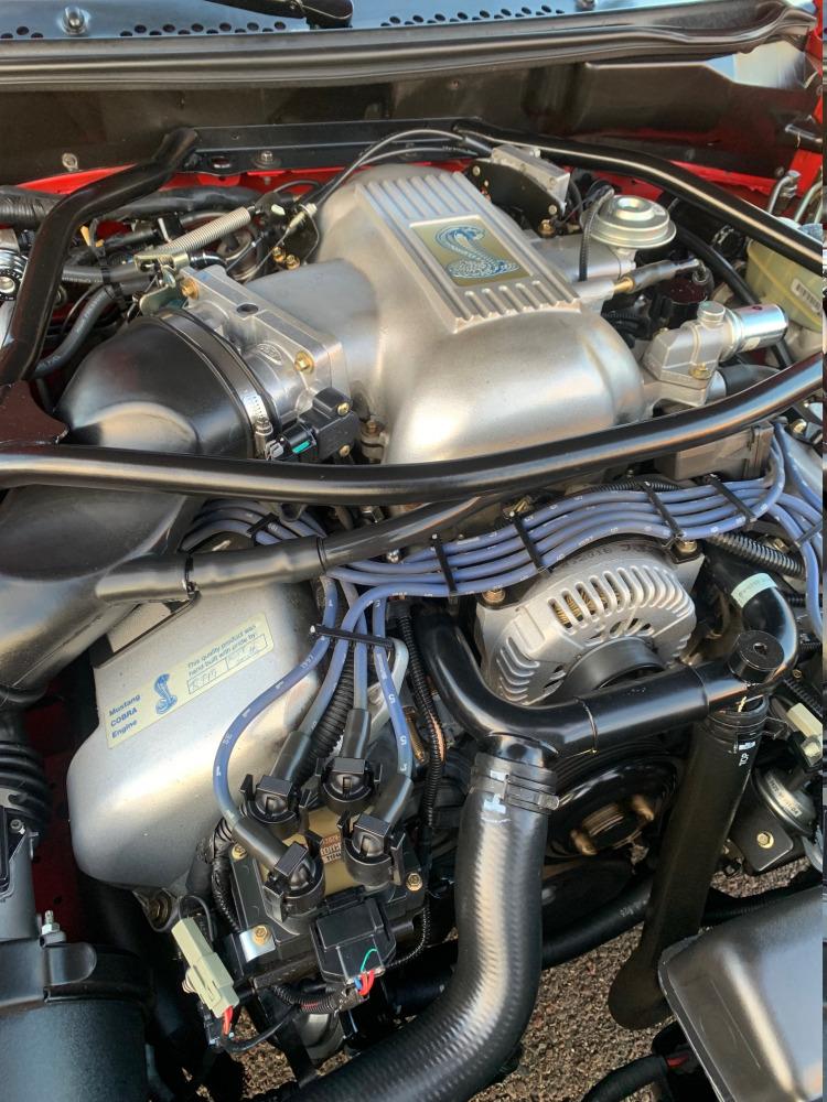 1997 Ford Mustang Cobra