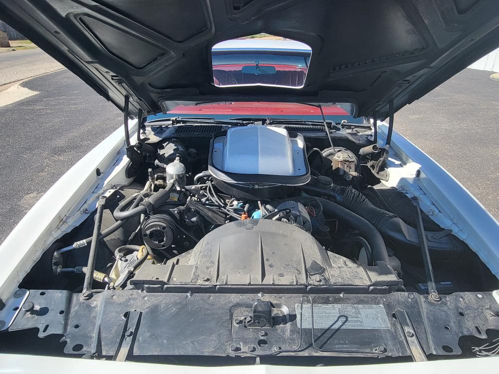 1977 Pontiac Trans Am