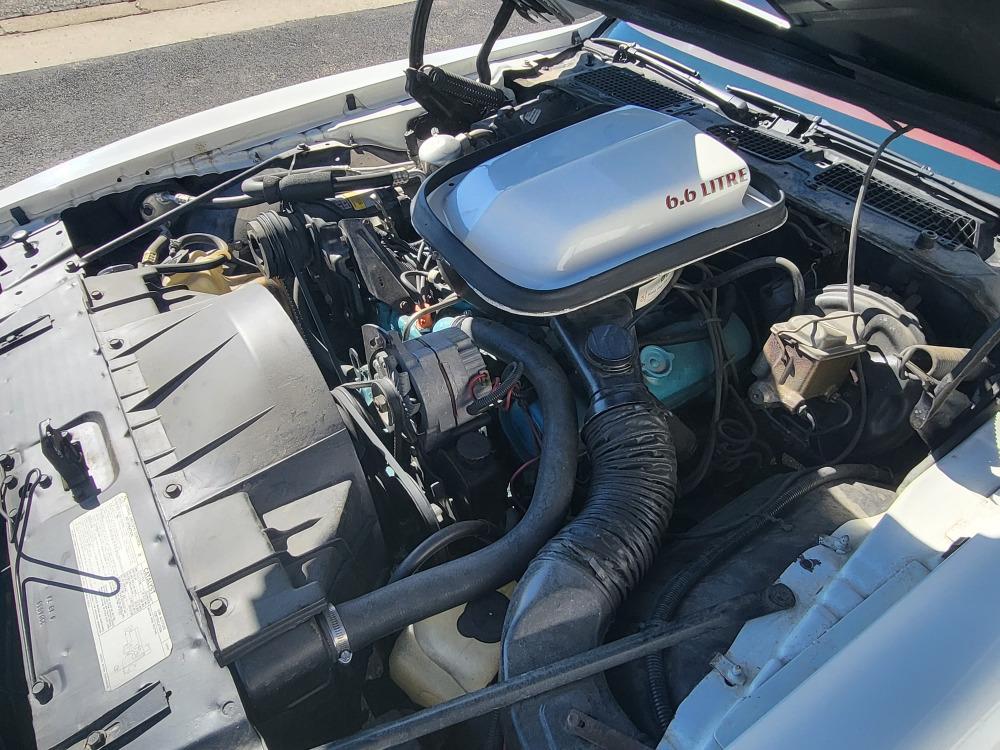 1977 Pontiac Trans Am