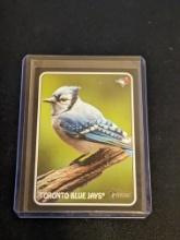 2024 Topps Heritage Toronto Blue Jays Team #75Z-5 (Black Border Animal Rare)