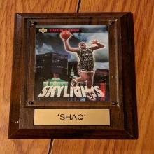 Plaque hard cased of 1993-94 Upper Deck - Skylights #469 Shaquille O'Neal