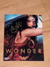 Gal Gadot autographed 8x10 photo with coa