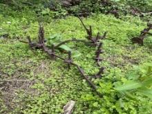 Brinley type cultivator
