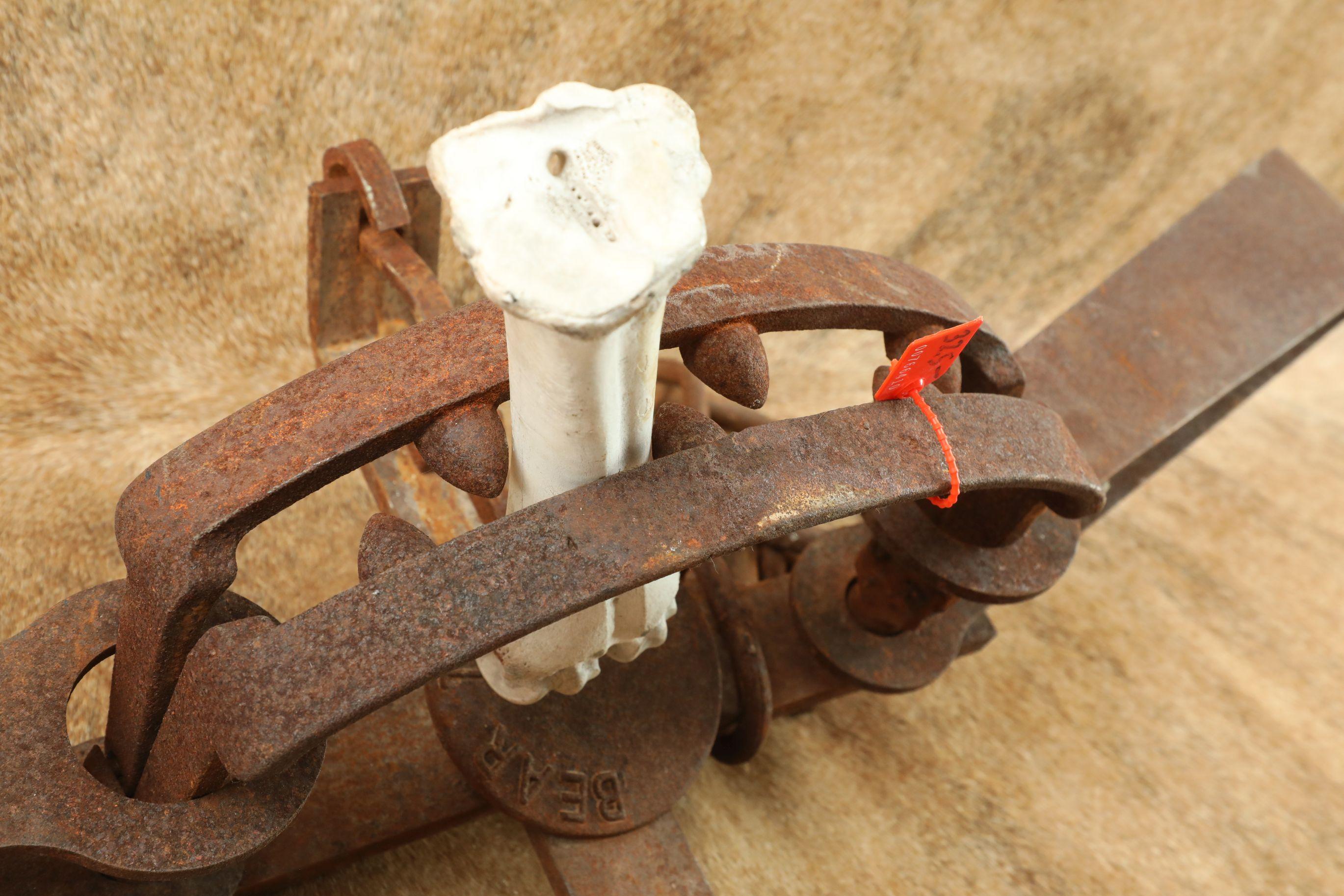 Modern Made Rusty 35" x 13" Cast Iron Bear Trap