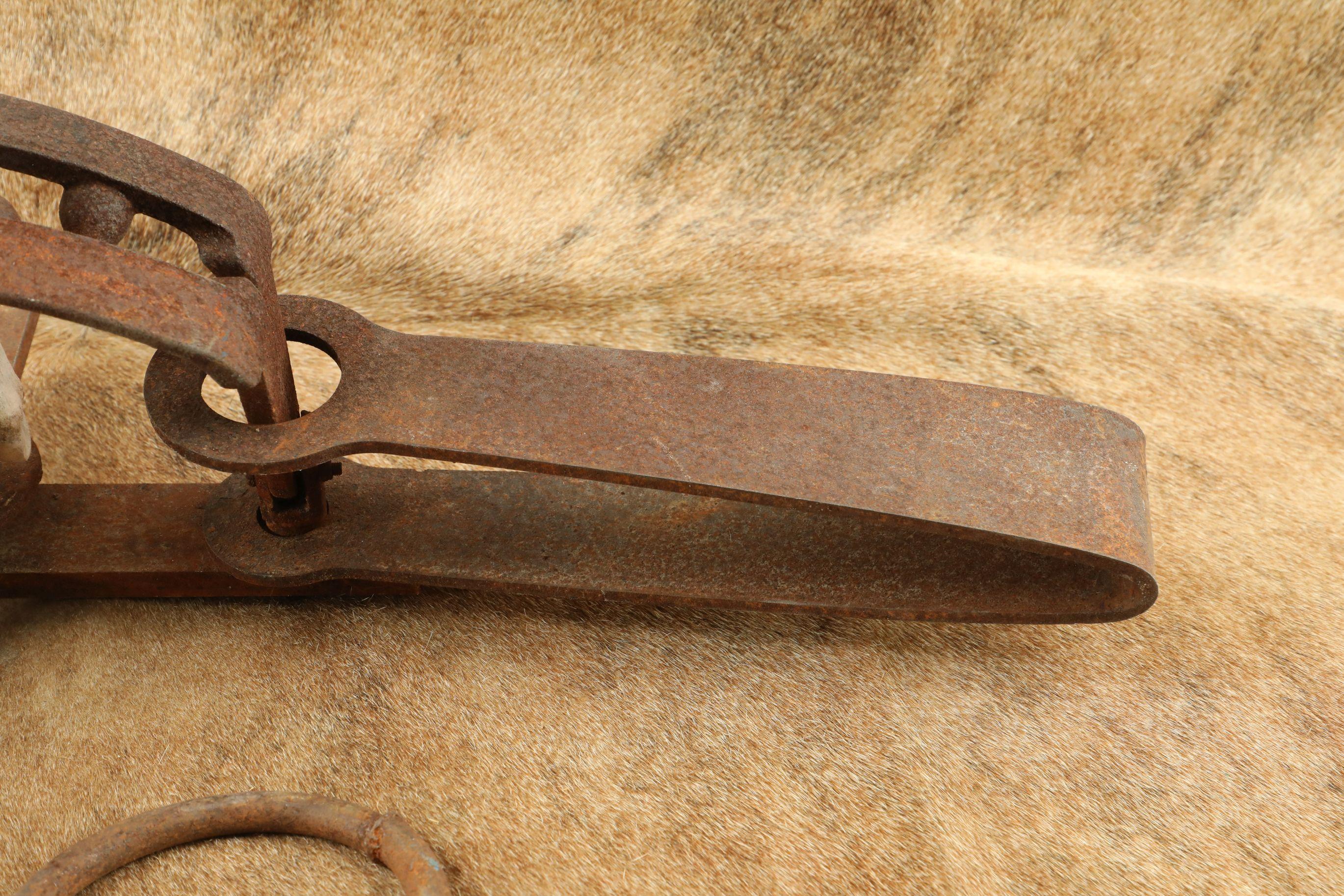Modern Made Rusty 35" x 13" Cast Iron Bear Trap