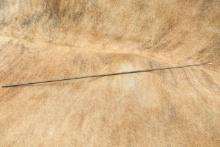 CANFIELD COLLECTION US Army Pre-Span Am Early M-1892 .30-40 Krag Rifle One-Piece Cleaning Rod
