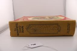 The Wonderful Story Book
