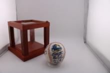 Myrtle Beach Pelicans signed Baseball