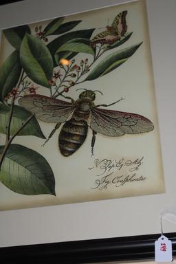 Honey Bee and Butterfly Lithograph