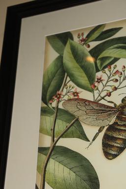 Honey Bee and Butterfly Lithograph