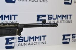 Ruger Ranch Rifle .300 BLK