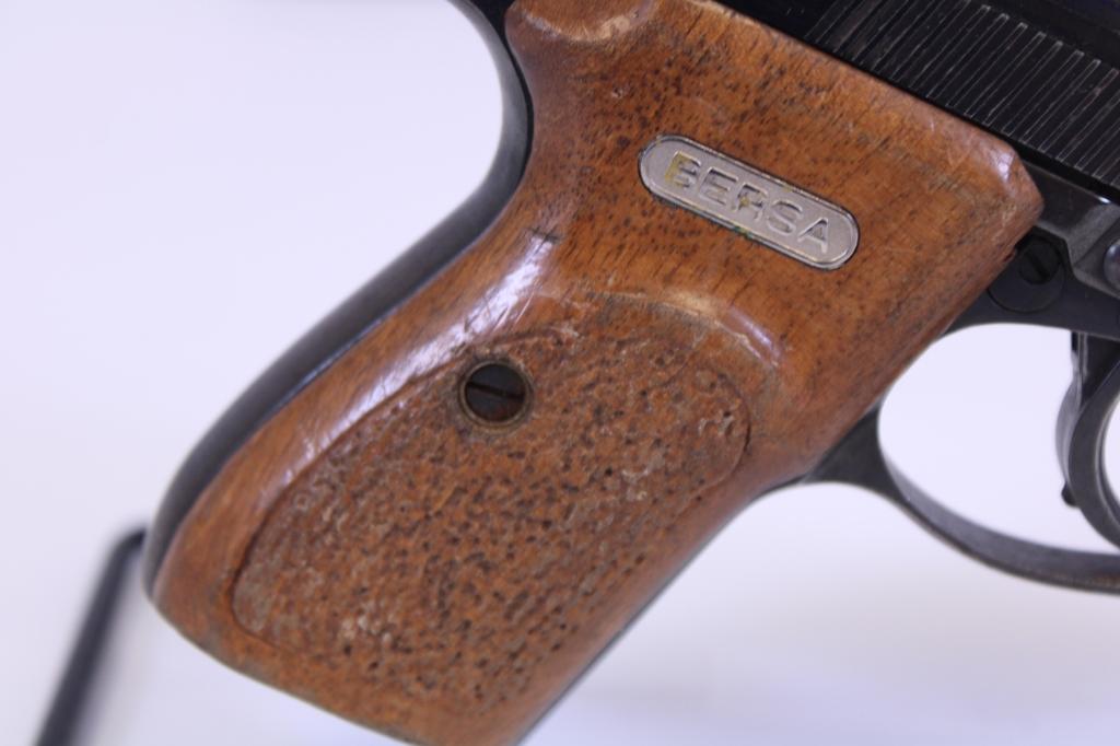 Bersa 383 .380 Auto
