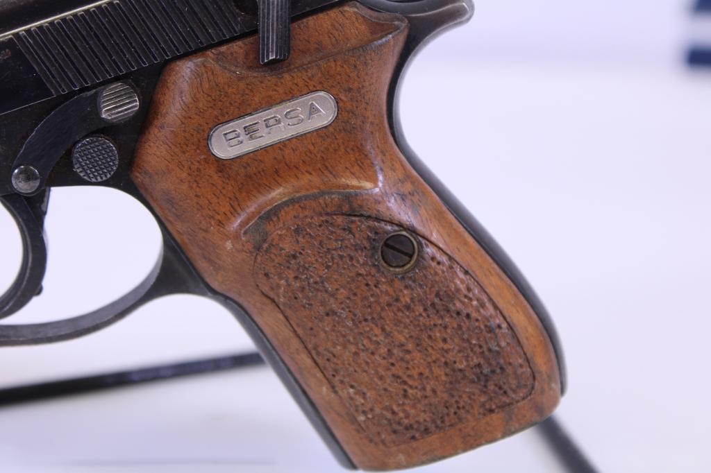 Bersa 383 .380 Auto