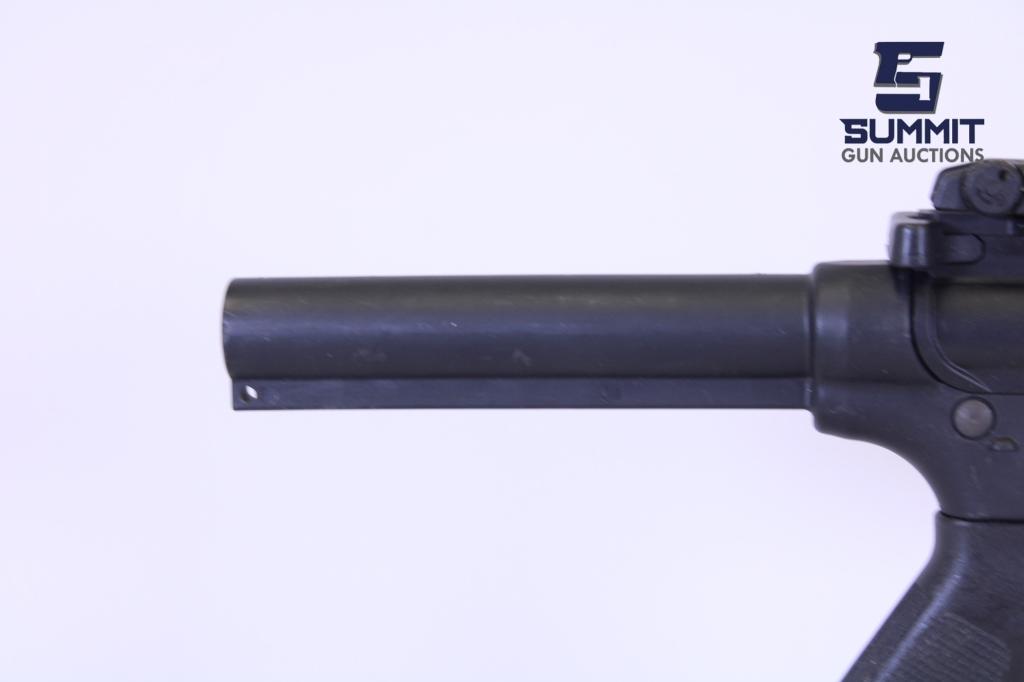 Smith & Wesson M&P 15-22 .22LR