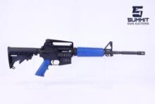 Smith & Wesson M&P-15 Training