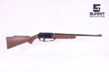 BB Gun .177 Cal