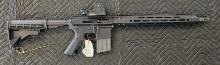 Palmetto Arms PA-15 .22WMR