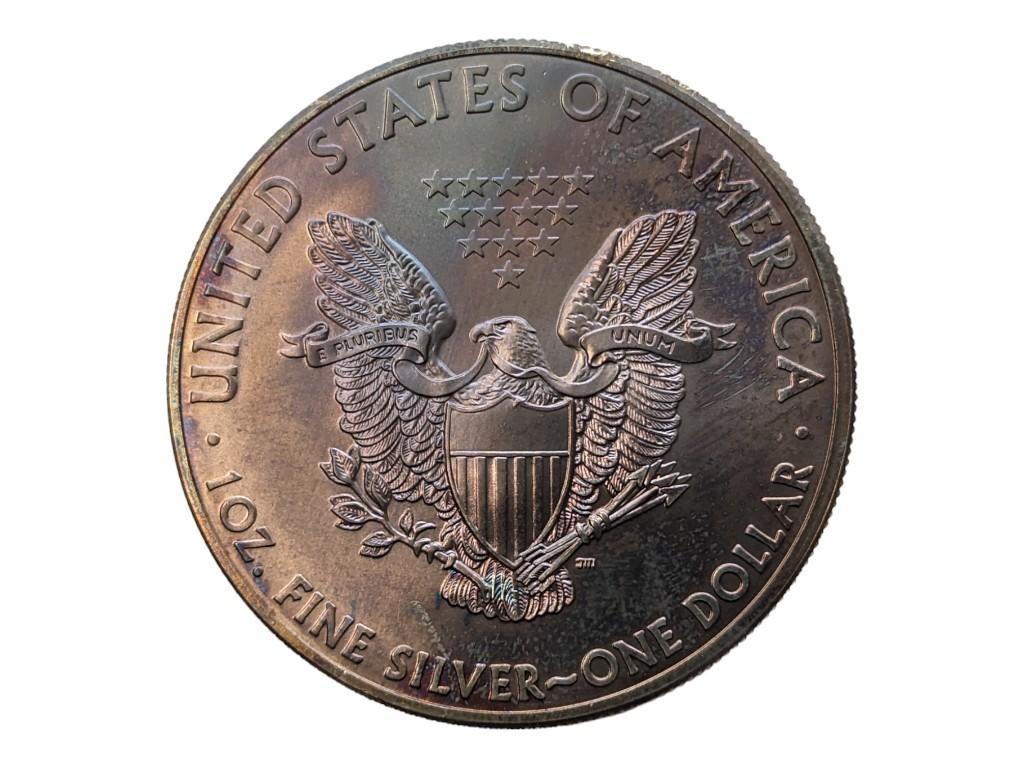 FEATURE 2013 American Silver Eagle Dollar - TONED