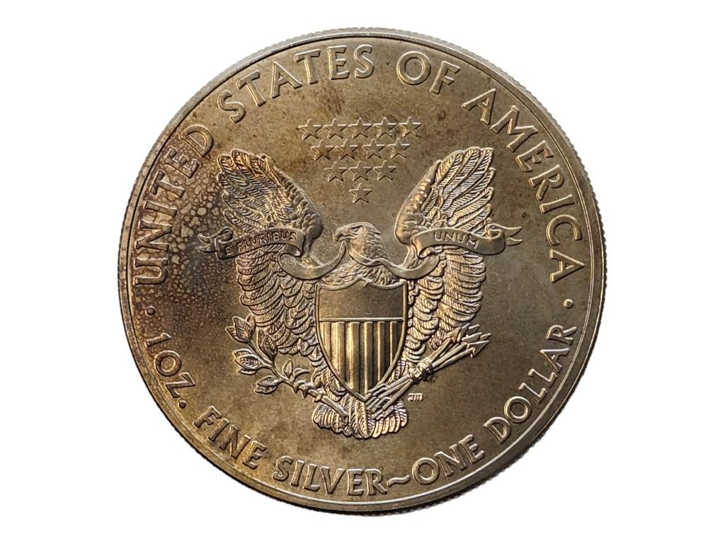 FEATURE 2013 American Silver Eagle Dollar - TONED