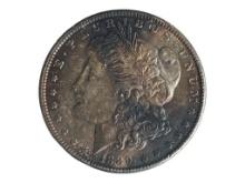 1889 Morgan Silver Dollar - TONED!