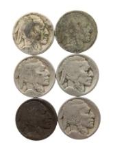 Lot of 6 Buffalo Head Nickels
