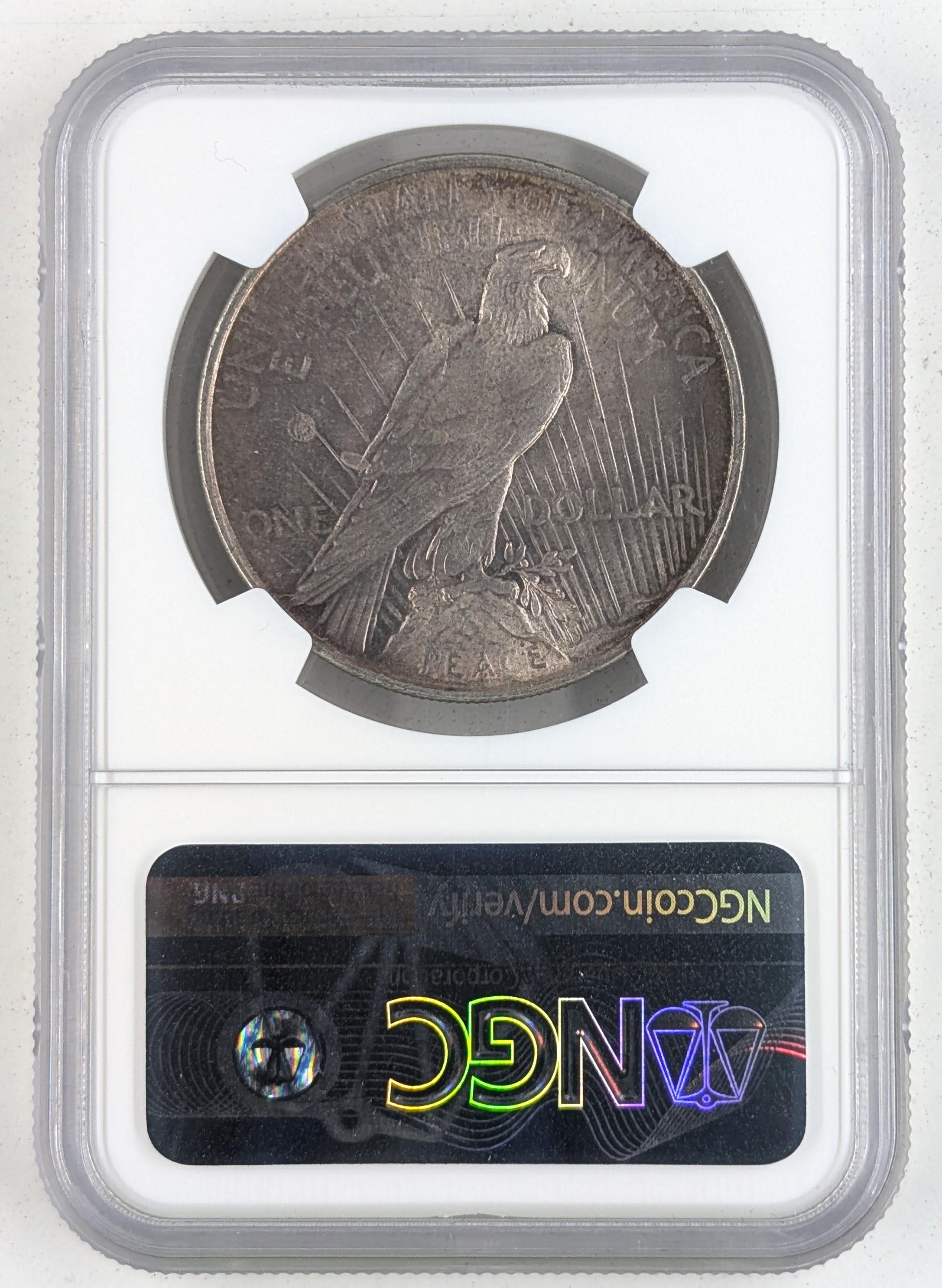NGC 1922 MS 61 Toned Peace Dollar
