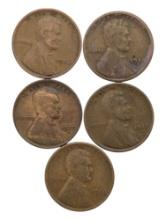 Lot of 5 Lincoln Wheat Cents - 1924-1929