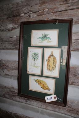 Framed Tobacco prints