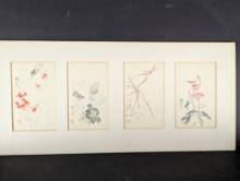 Set of 4 Yang Chi Chuang Insect Prints in Color